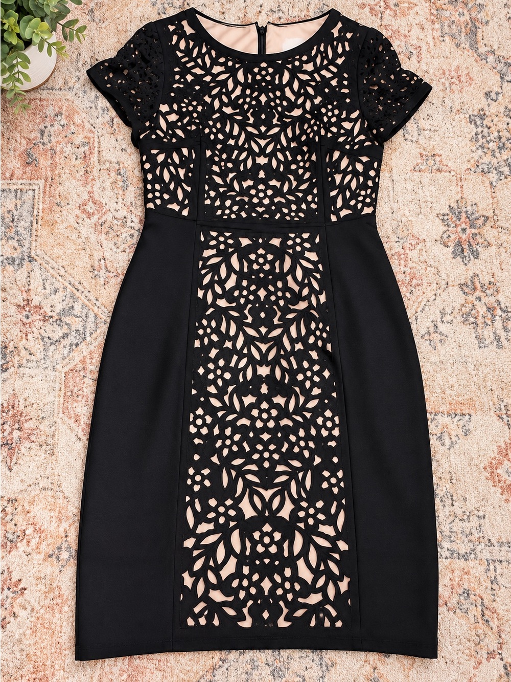 Maeve Black Lace-Overlay Midi Dress with Nude Lining
